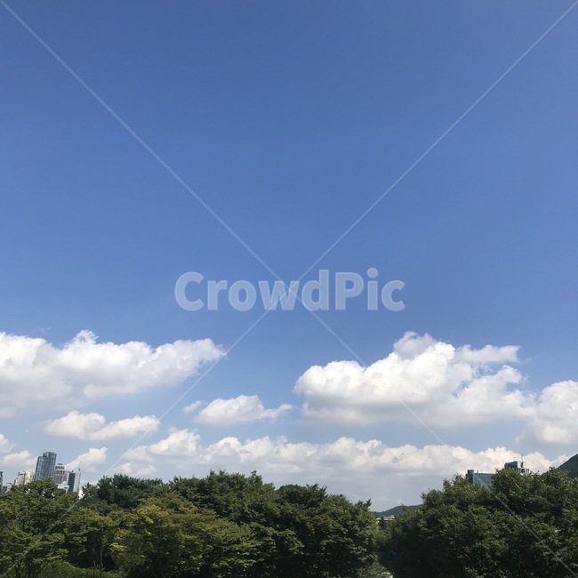 nature,자연,outdoors,옥외,weather,날씨,cloud,구름,sky,하늘,cumulus,적운