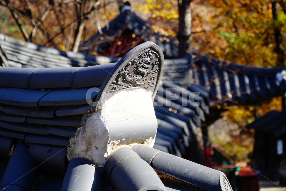 한국,한국전통,한국문화,전통,문화,한옥,불교,사찰,절,종교,korea,seoul,tradition,custom,culture,Buddhism,기와,지붕,처마,건물,건축,문양,무늬,용,드래곤,dragon,용무늬,용문양,나무,가을,tree,autumn,fall,season,계절,나뭇가지,자연,nature,문화재,landscape,역사,히스토리,history,11월,한국풍경,한국적인,한국전통,한국문화,korean traditional,korean culture,건축물,건물외관,exterior,building,structure,architecture,construction