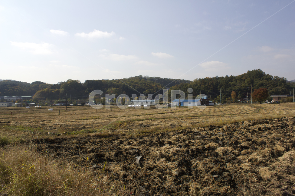 한국,대한민국,하늘,낮,자연,충경,시골,농촌,농업,농사,논,논농사,논둑,가을,산,언덕,집,하우스,추수,논갈이,나무,흙,농업,농사,agriculture,farming,farming industry