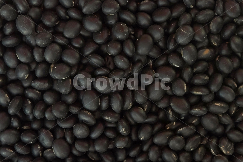 서리태,콩,검은콩,곡식,곡물,잡곡,음식,식재료,식품,crop,bean,음식,식재료,요리,food,cook,meal,dishes,food reserves,콩류,견과류,beans,pulse,nuts,dry fruits