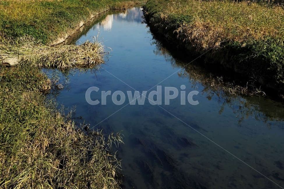 가을,하천,물,자연,stream,fall,autumn,water,nature,자연,풍경,nature,landscape,ditch,도랑