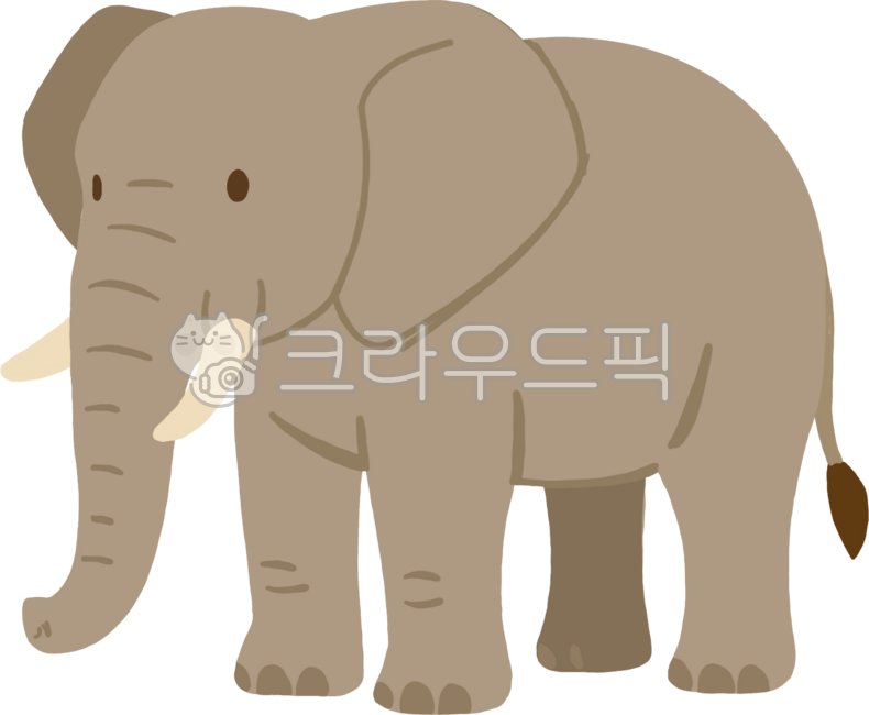Elephant,animal,herbivore,zoo,shark,elephant image,elephant drawing