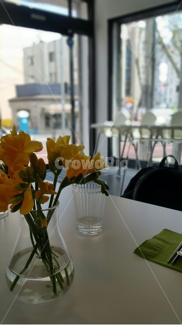 plant,식물,꽃,꽃병,vase,flower,컵,물컵,cup,카페,cafe,식탁,table,꽃,flower,인테리어,실내디자인,interior design