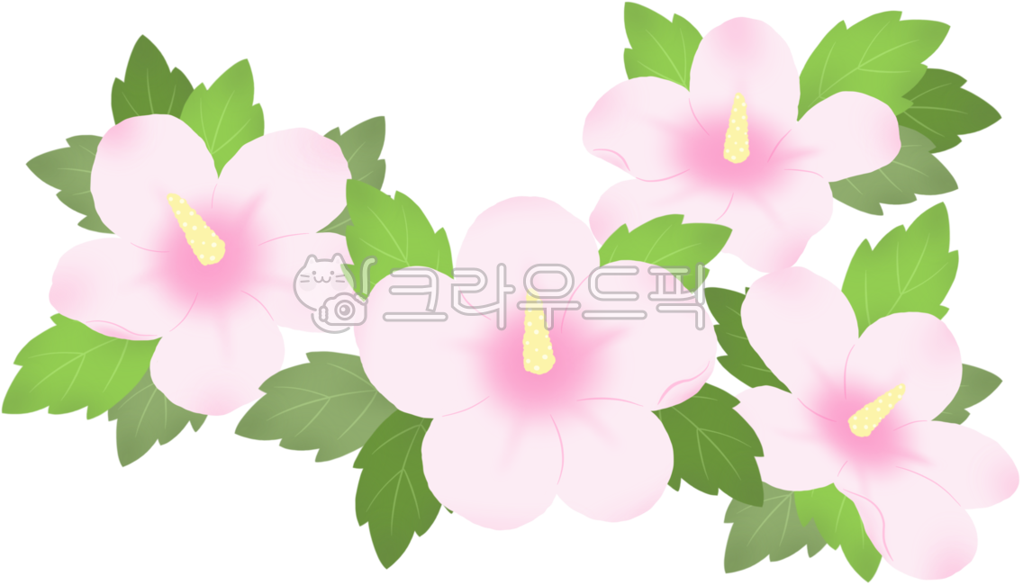 Long live independence,Korean flower,korea,Rose of Sharon,Independence Movement Day,Rose of Sharon Samcheonri,patriotism,815,Liberation,flower