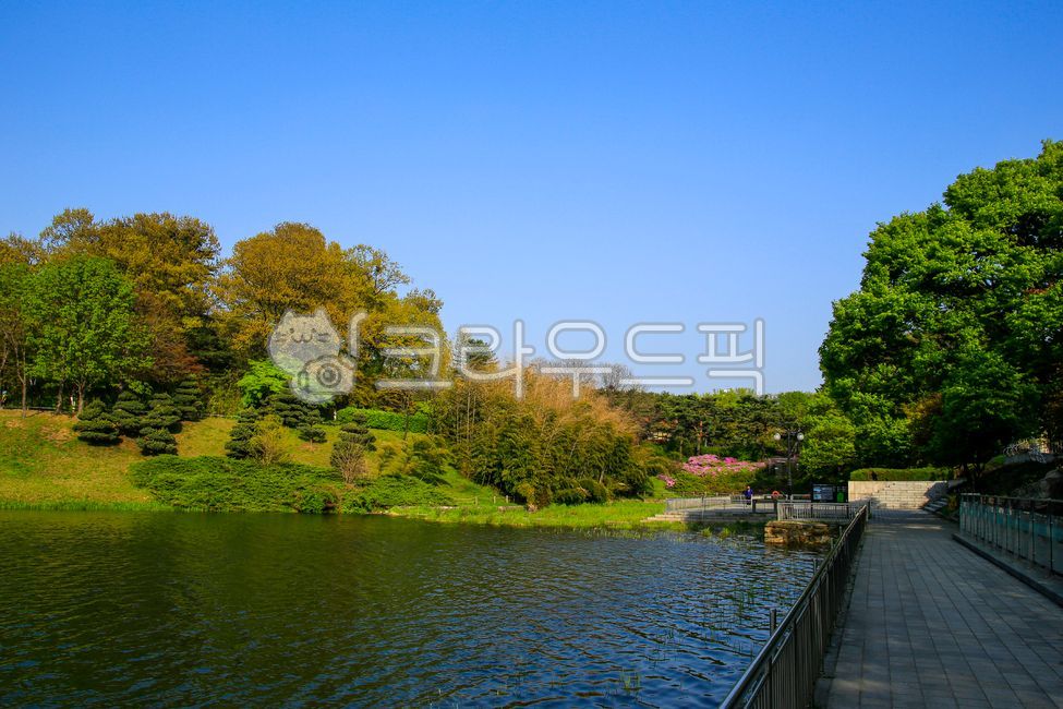 Olympic Park,sky,forest,flowers,street lights,nature,trees,water,railings,outdoors,plants,lake,park,water surface