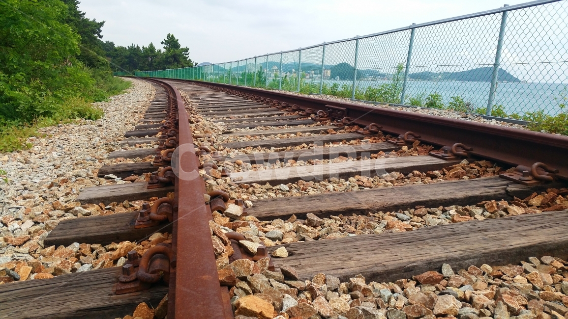 기찻길,철길,기차,철로,레일,길,바다,교통,교통수단,traffic,transportation,train track,railway,철도,rail