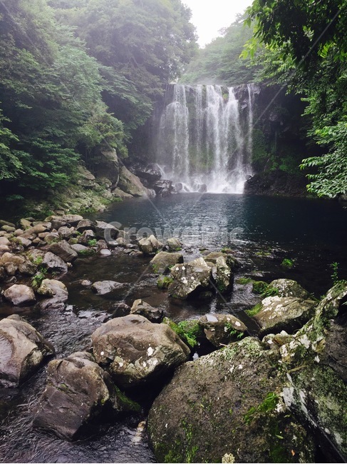 폭포,용소,제주,천제연폭포,나무,waterfall,계곡
