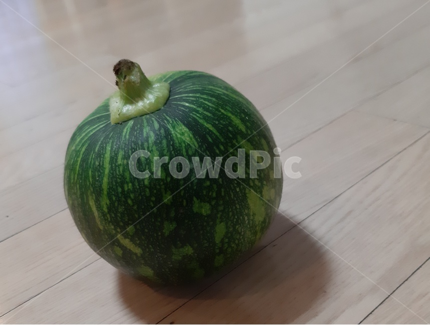plant,식물,pumpkin,야채,초록,음식,채소,야채,vegetables