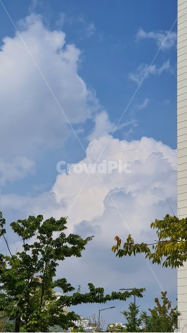 architecture,건축물,building,건물,구름,하늘,여름,초록,파랑,cloud,sky,summer,green,blue,nature,자연,자연,풍경,nature,landscape