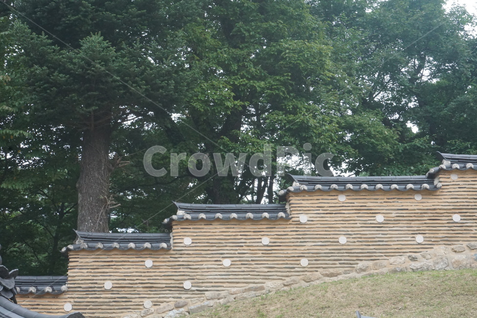 기와,한국적,한국전통,담벼락,담장,한국,나무,색감