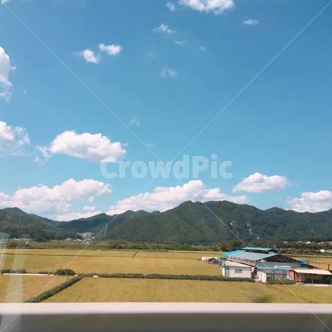 시골,논,밭,들판,산,하늘,시골마을,농사,시골,마을,풍경,landscape,country,rural,town