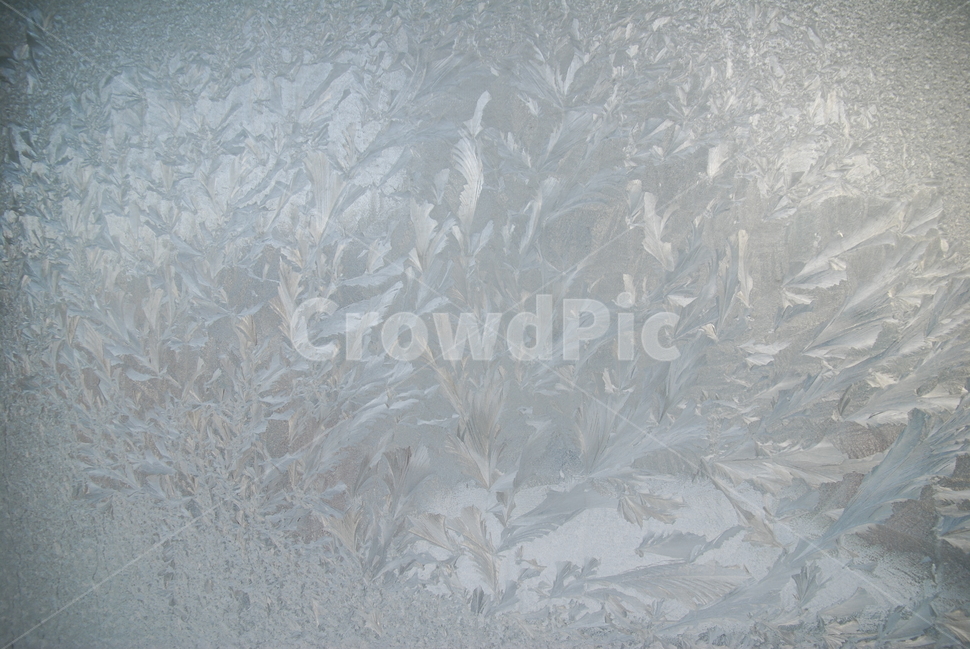 ice,빙,nature,자연,outdoors,유리창얼음,얼음,겨울,계절,winter,season