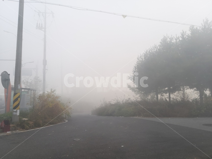 nature,자연,날씨,안개,weather,자연,풍경,nature,landscape