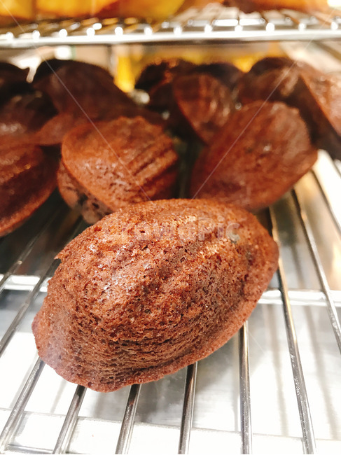 마들렌,베이킹,베이커리,초코,음식,빵,디저트,빵,bread