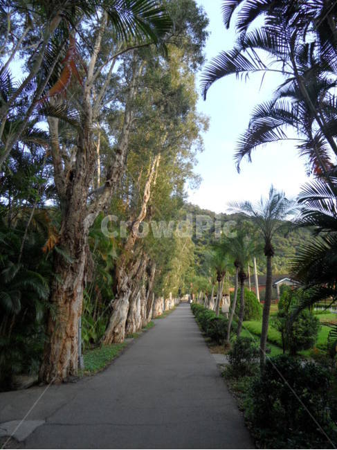 나무,정원,풀,자연,식물,자연,풍경,nature,landscape,garden,outdoors,옥외,arbour,정자