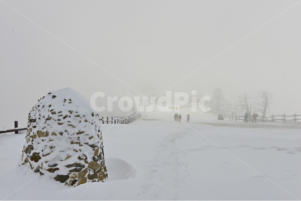 전북,무주,설천봉,상고대,상제루,mountainrange,산맥,winter,겨울,blizzard,눈보라,storm,폭풍,nature,자연,outdoors,옥외,ice,빙,snow,눈,mountain,산,향적봉,겨울,계절,winter,season,자연,풍경,nature,landscape