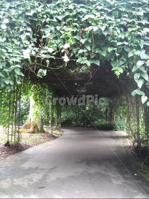 garden,정원,outdoors,나무,tree,식물,자연,plants,nature