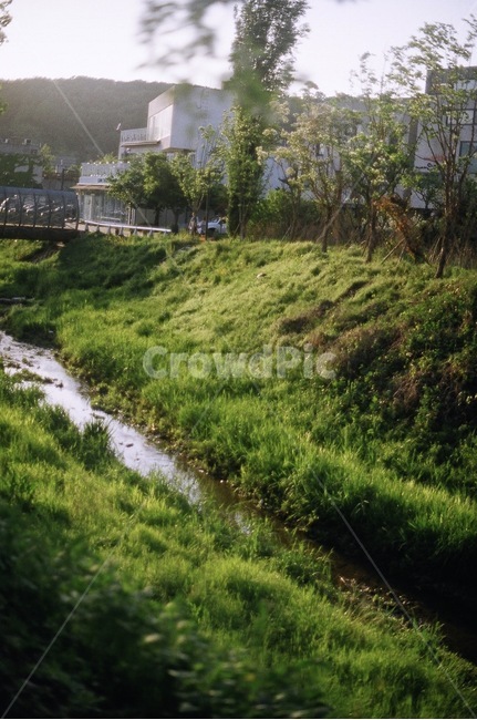 하천,나무,잔디,풀,풍경,도시,풍경,city,landscape,감성,sensible,feeling,ditch,도랑