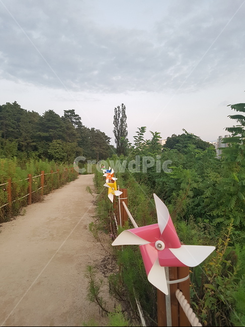바람개비,자연,nature,wind,수풀