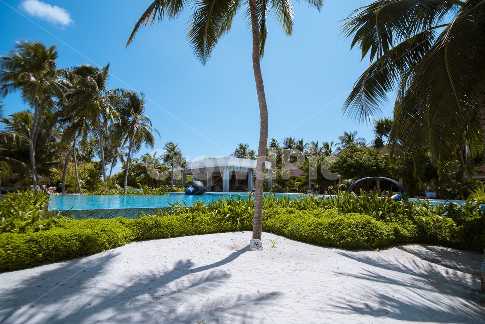 몰디브,maldives,풍경,sea,하늘,수영장,pool,자연,풍경,nature,landscape,해외,외국,세계,foreign,oversea,world,세계자연풍경,해외자연풍경,외국자연풍경,world nature landscape,summer,여름