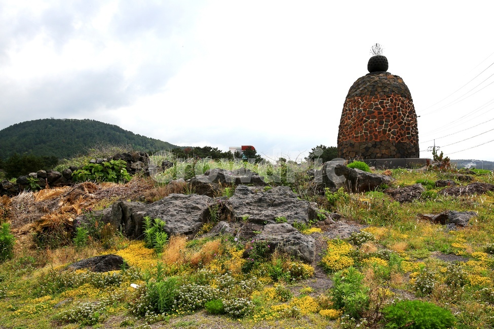outdoors,옥외,nature,자연,제주,구름,하늘