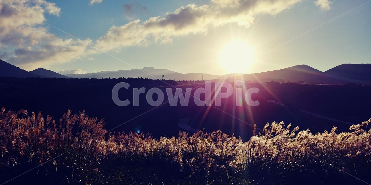 제주,새별오름,일출,제주오름,억새,갈대,새별오름억새,자연,풍경,nature,landscape,flare,플레어,light,빛,sunlight,햇빛