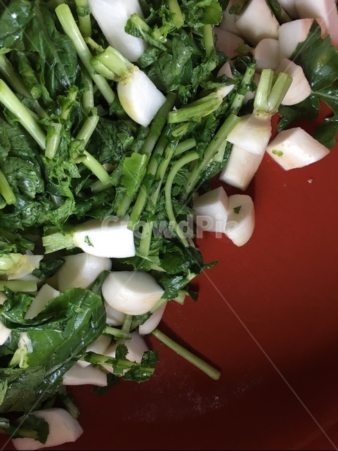 김치,무,음식,kimchi,요리,소금에절인,총각김치,chonggakkimchi,youngradish,염장,pickled,food,salted,준비,식재료