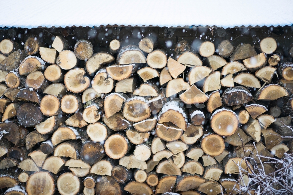 장작,눈,겨울,포근함,시골사진,겨울,계절,winter,season