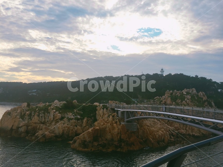 다리,울산,대왕암공원,물,자연,바위,하늘,바다,공원,국내,감성,이어준다,햇빛,해질녘,자연,풍경,nature,landscape