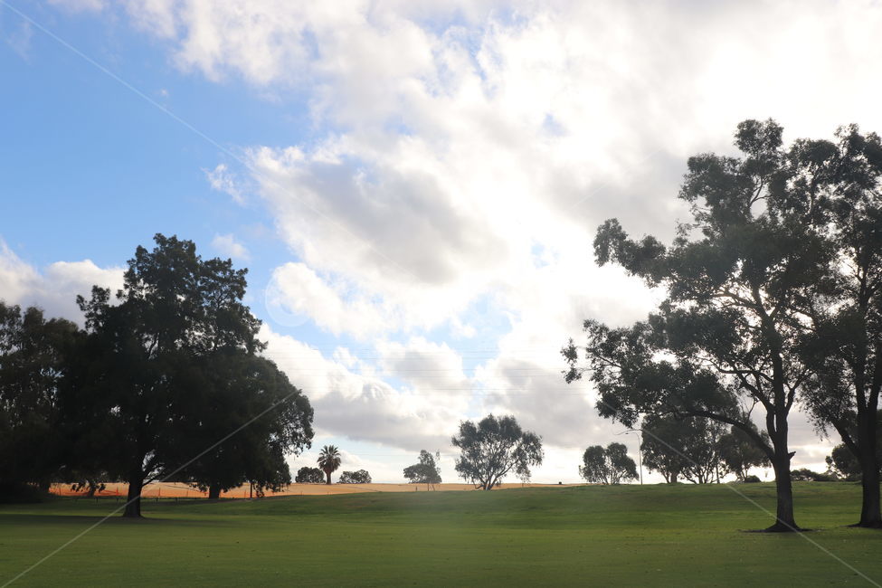 field,들,outdoors,옥외,plant,식물,grass,잔디,하늘,구름,나무,공원,자연,풍경,nature,landscape,나무,trees,wood,golf course,골프 코스