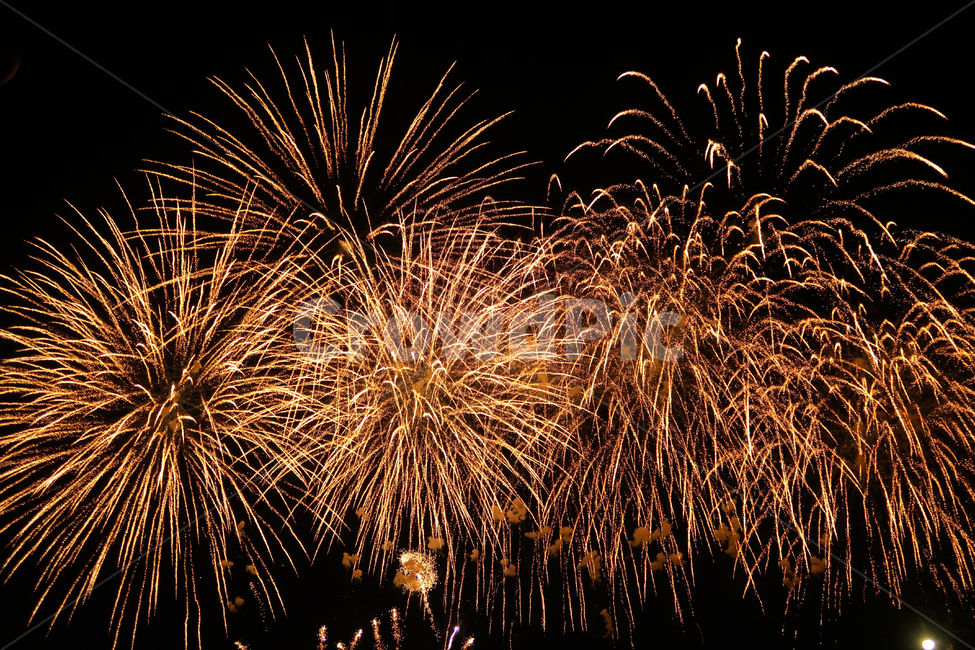 불꽃놀이,불꽃,불꽃축제,한강불꽃,한강,여의도,축제,여의도불꽃축제,야경,밤,풍경,nightscape,night,landscape,축제,행사,festival,carnival,event,nature,자연,outdoors,옥외