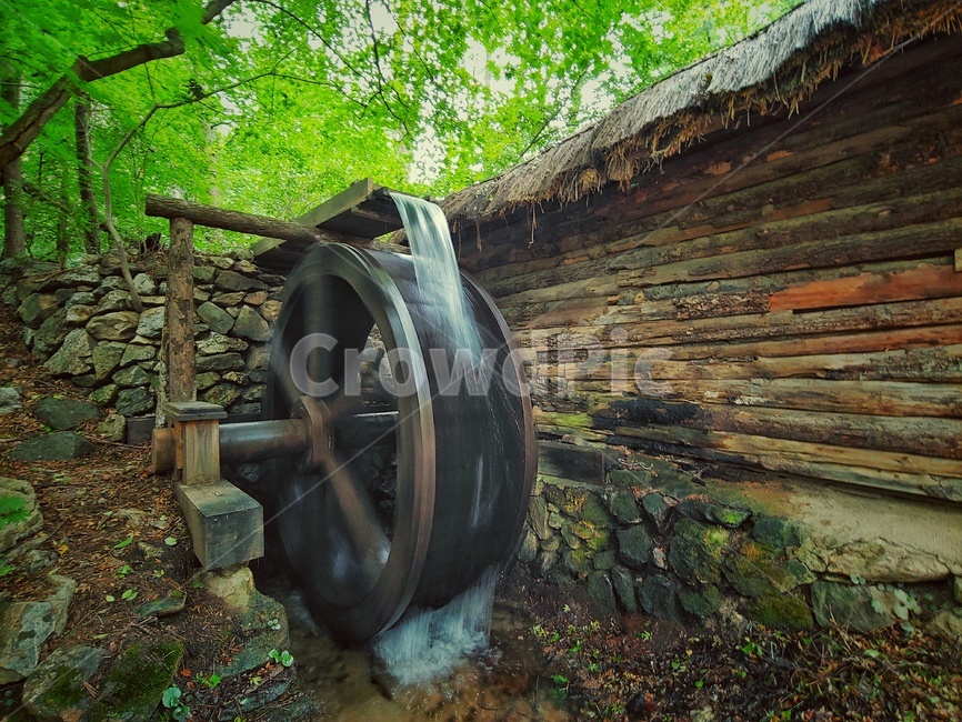 물레방아,동감,민속촌,녹색,green,돌담,나무,가을,이끼,풍경사진,민속,전통,물,water