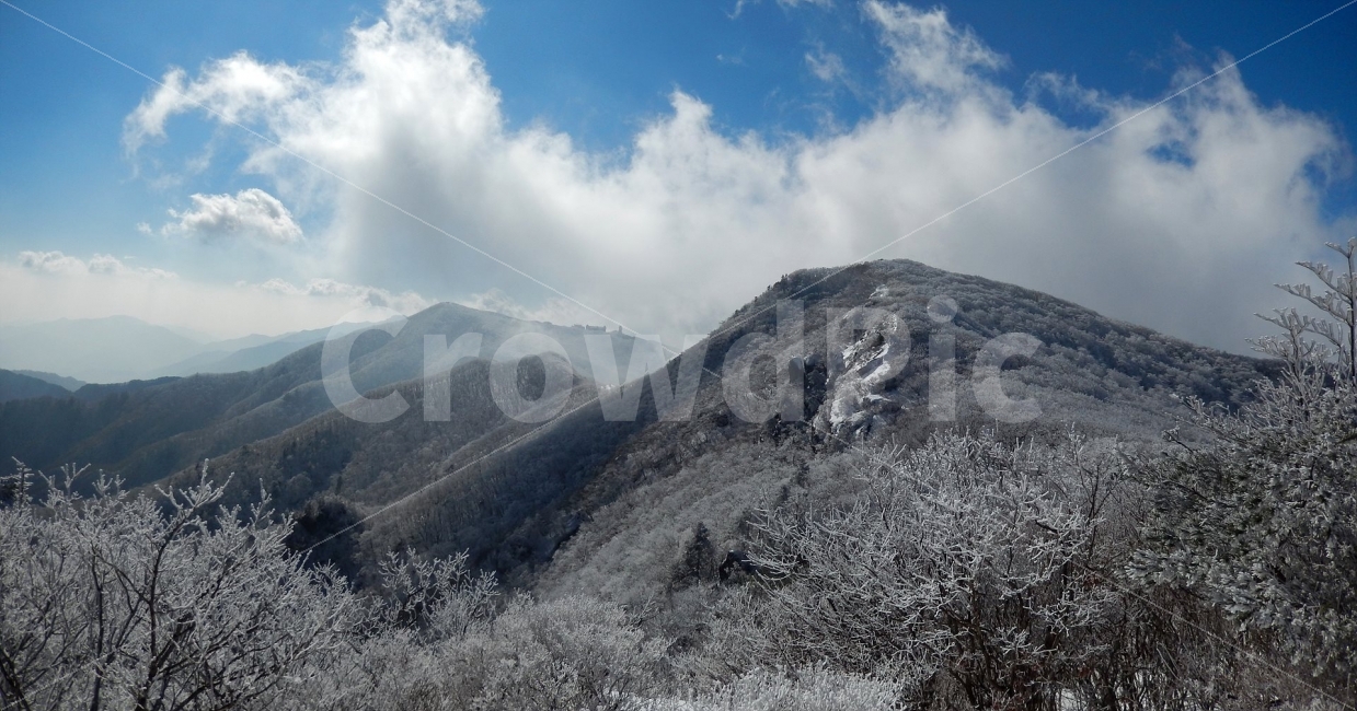소백산,눈꽃풍경,상고대,겨울풍경,국립공원,겨울동화,힐링,감성,아름다움,뷰티풀,설국,눈풍경,파란하늘,100대명산,겨울명산,설경,서리꽃,영동,snow,landscape,눈,화이트,자연,신비로운,경이로운,천상,비경,치유,산,명산,파노라마,겨울,계절,winter,season,자연,풍경,nature,landscape,한국자연풍경,한국자연경관,korea nature landscape,outdoors,옥외,ice,얼음,mountain