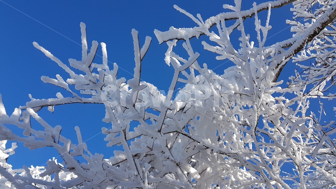 상고대,겨울산,눈,snow,눈바람,하늘,hoarfrost,서리