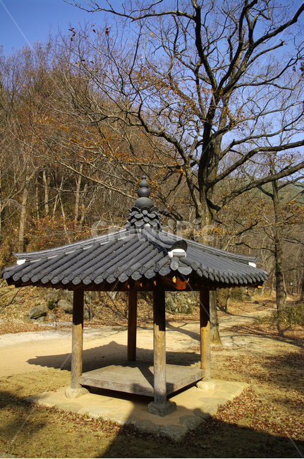 기와지붕,한국,전통,건축,나무,한국전통,한국문화,korean traditional,korean culture,건축물,건물외관,exterior,building,structure,architecture,construction