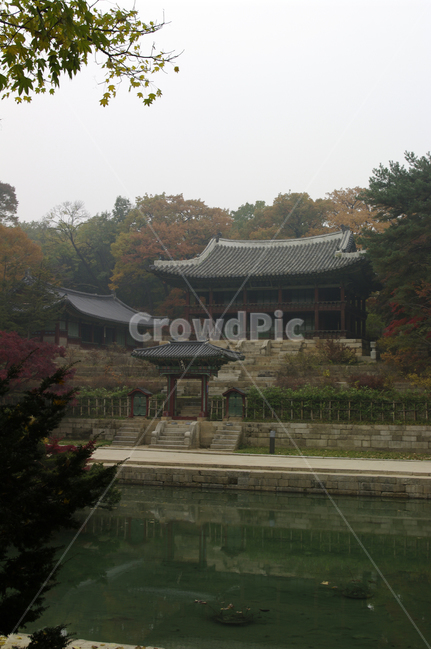 창덕궁후원,주합루,부용지,고궁,건축,전통건축,traditional,전통,가을,fall,나무,식물,plant,단풍,가을,계절,fall,autumn,season,한국전통,한국문화,korean traditional,korean culture,랜드마크,landmark,tourist attraction,한국랜드마크,한국관광지,한국명소,korea landmark,korea tourist attraction,건축물,건물외관,exterior,building,structure,architecture,construction,worship,예배,건물,shrine,신사,pagoda,탑,temple,신전