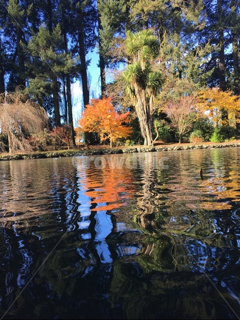 하늘,물,옥외,자연,식물,나무,nature,plant,outdoors,tree,water