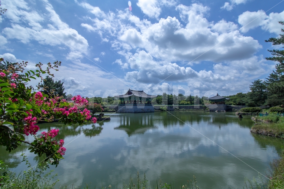 경주,안압정,풍경,관광지,동궁과월지,자연,풍경,nature,landscape,랜드마크,landmark,tourist attraction,한국전통,한국문화,korean traditional,korean culture,outdoors,옥외,water,물