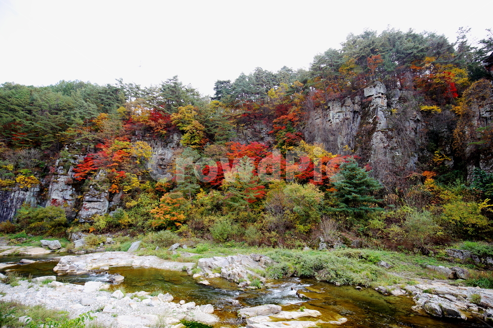 단풍,가을,풍경,낙엽,나무,붉은색,산,단풍나무,plant,식물,tree,leaf,잎,maple,단풍잎,outdoors,옥외,water,nature,물,가을,계절,fall,autumn,season,자연,풍경,nature,landscape