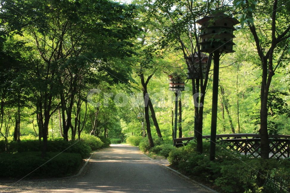 산,공원,산책,초록,햇빛,한가한,여유,다리,길,푸른길,스냅,스냅사진,무보정,캐논70D,자연,풍경,nature,landscape,휴식,힐링,rest,relaxation,healing,road,도로
