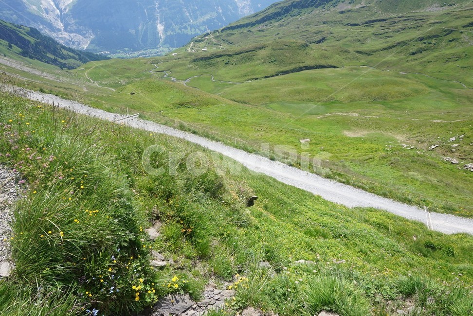 산,자연,풍경,nature,스위스,옥외,outdoors,감성,자연,풍경,nature,landscape,road,도로
