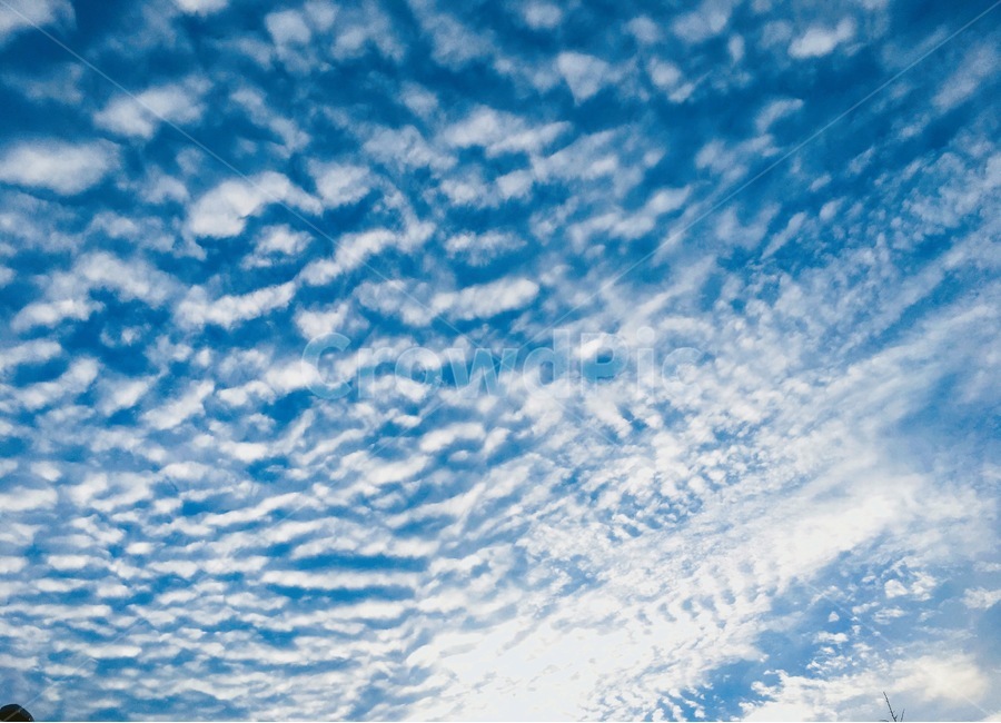하늘,사진,자연사진,감성하진,파란하늘,구름,한국,낮,자연,풍경,nature,landscape,outdoors,옥외,azure sky,푸른 하늘,sky,cloud