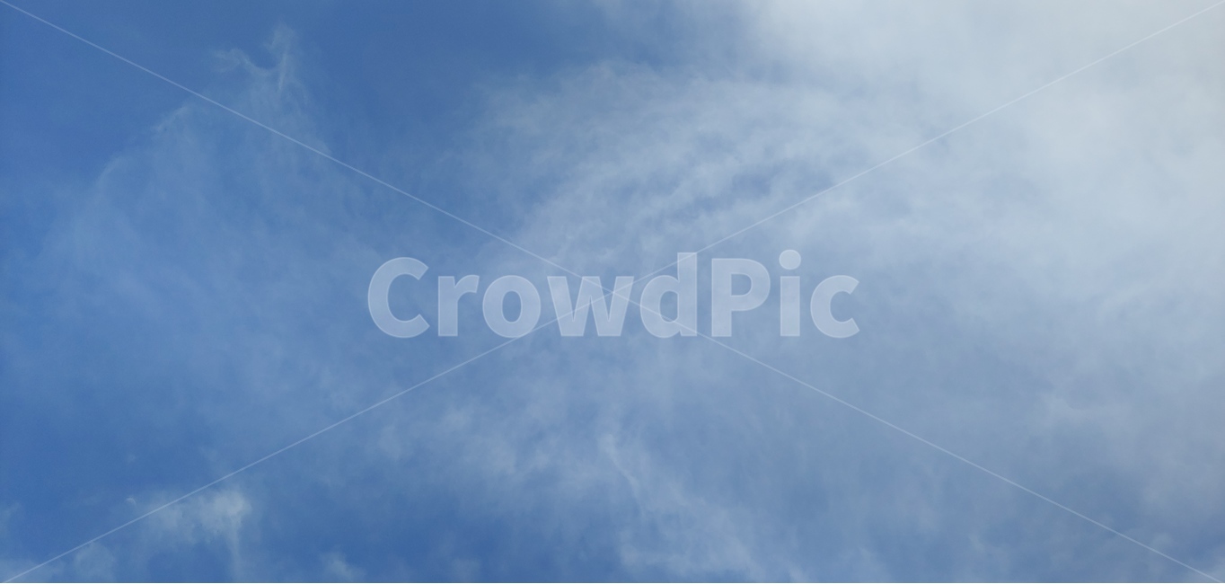 자연,하늘,구름,여름,여름하늘,파란,blue,sky,cloud,자연,풍경,nature,landscape,flying,나는,animal,동물,bird,새