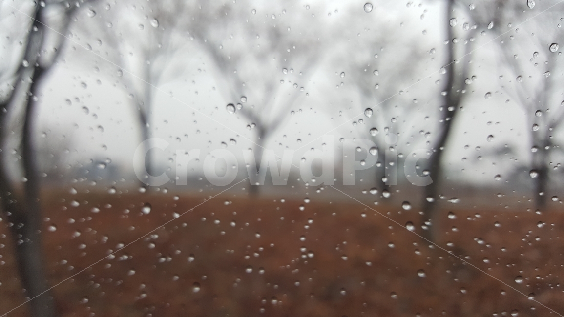 빗방울,나무,차창밖,비,풍경,rain,raindrop,landscape,비,비오는날,rain,rainy,감성,sensible,feeling