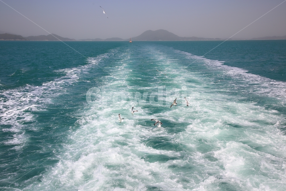 파도,자연,풍경,바닷가,갈매기,자연,풍경,nature,landscape,동물,animal,조류,새,birds,water,물,sea,바다,ocean,대양,outdoors,옥외,adventure,모험,leisure activities,레저 활동
