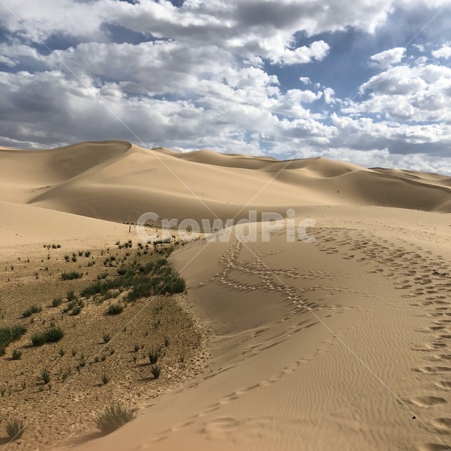 몽골,사막,soil,nature,흙,sand,자연,모래,모래언덕,dune,옥외,outdoors,자연,풍경,nature,landscape,모래 언덕