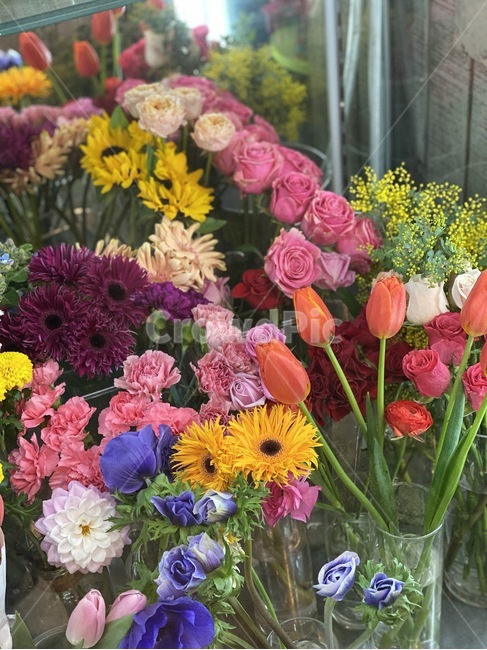 꽃,blossom,flower,꽃꽂이,plant,식물,꽃냉장고,꽃집,flowerarrangement,flowerbouquet