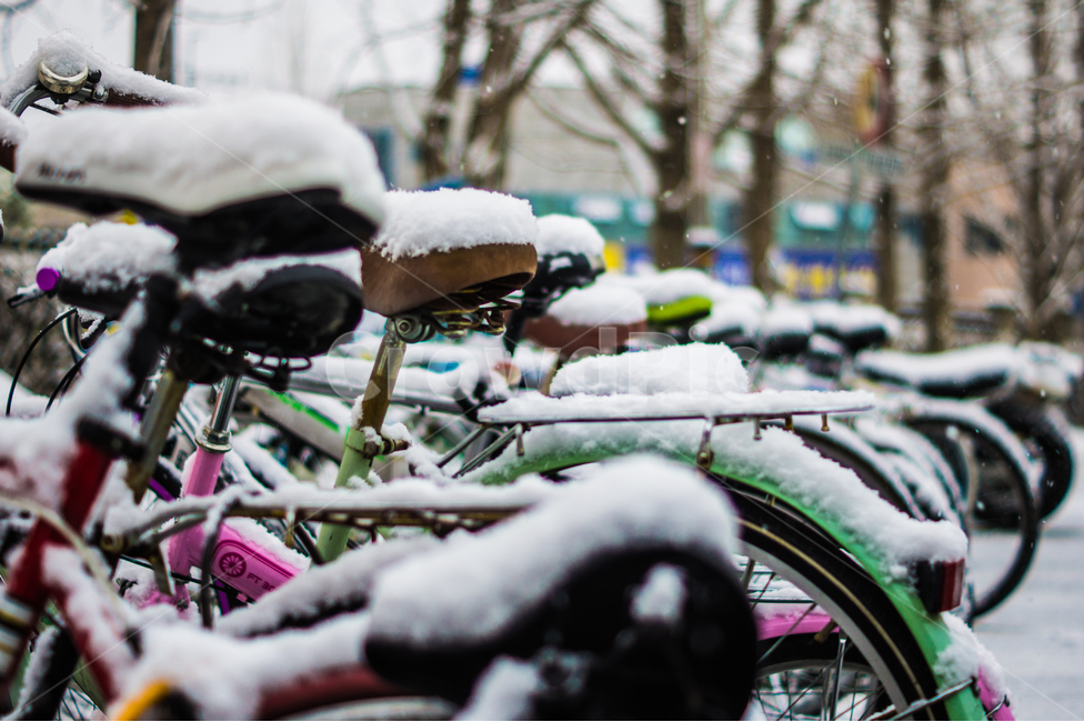 자전거,눈,겨울,주차장,bike,bicycle,vehicle,transportation,교통,snow,winter,겨울,계절,winter,season