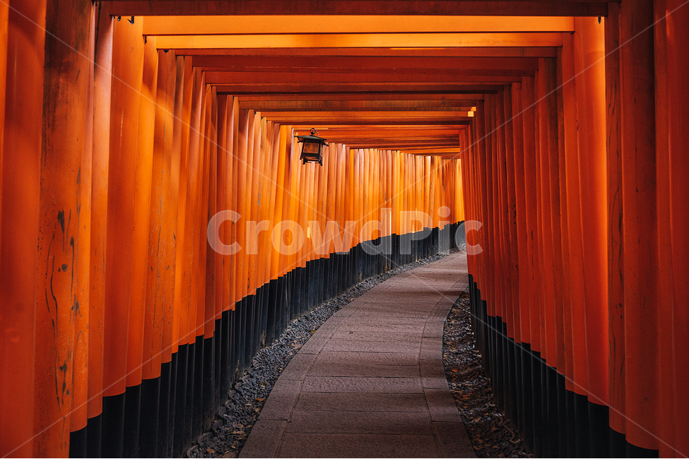 후시미이나리,교토,신사,명소,tokyo,landscape,관광지,랜드마크,landmark,tourist attraction,해외,외국,세계,foreign,oversea,world,세계랜드마크,해외랜드마크,외국랜드마크,world landmark,world tourist attraction,종교,신앙,religion,belief,faith,handrail,난간,banister