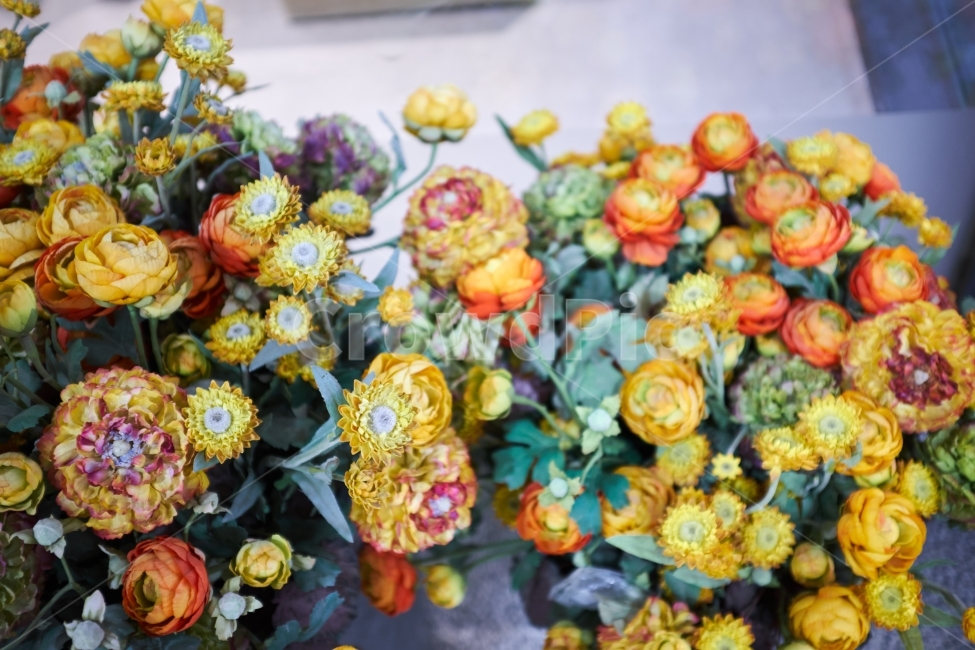 꽃,노랑,노란,화분,텍스쳐,자연,식물,자연,plants,nature,꽃,flower